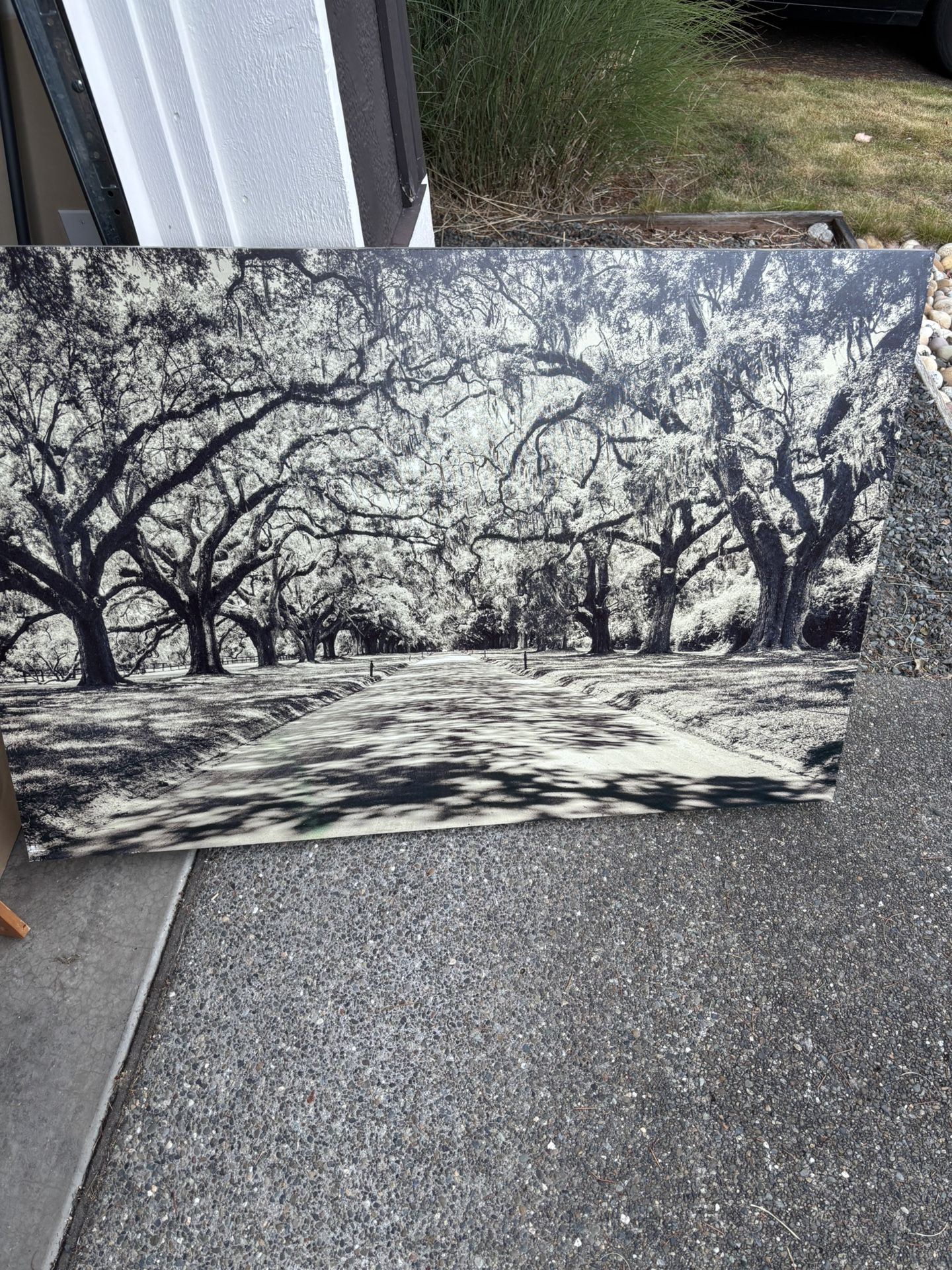 Large Wall Art