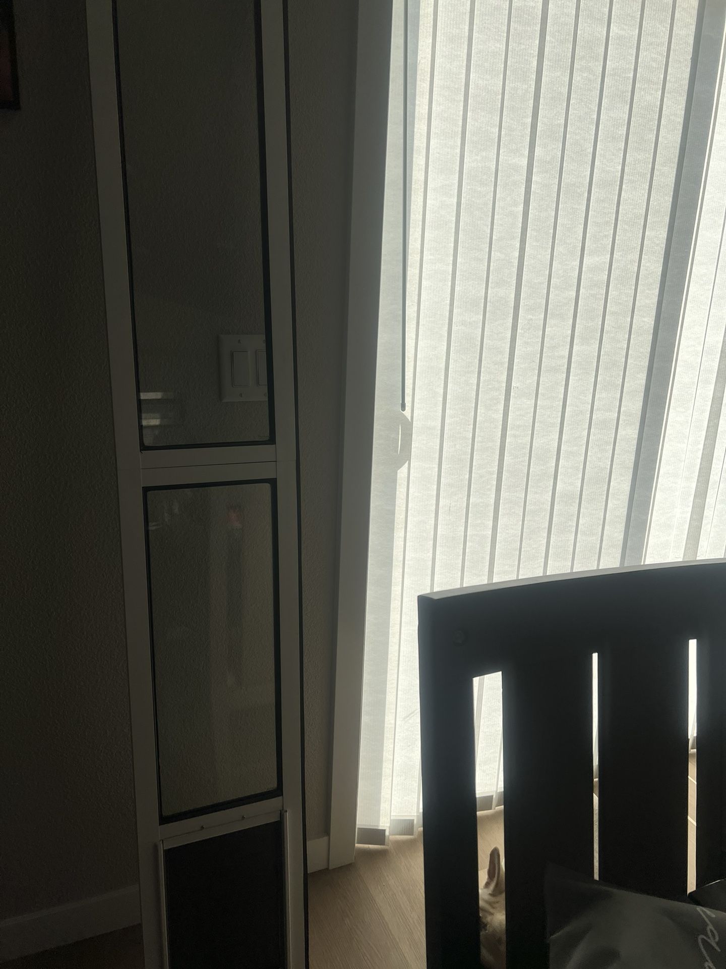 White Pet Door 