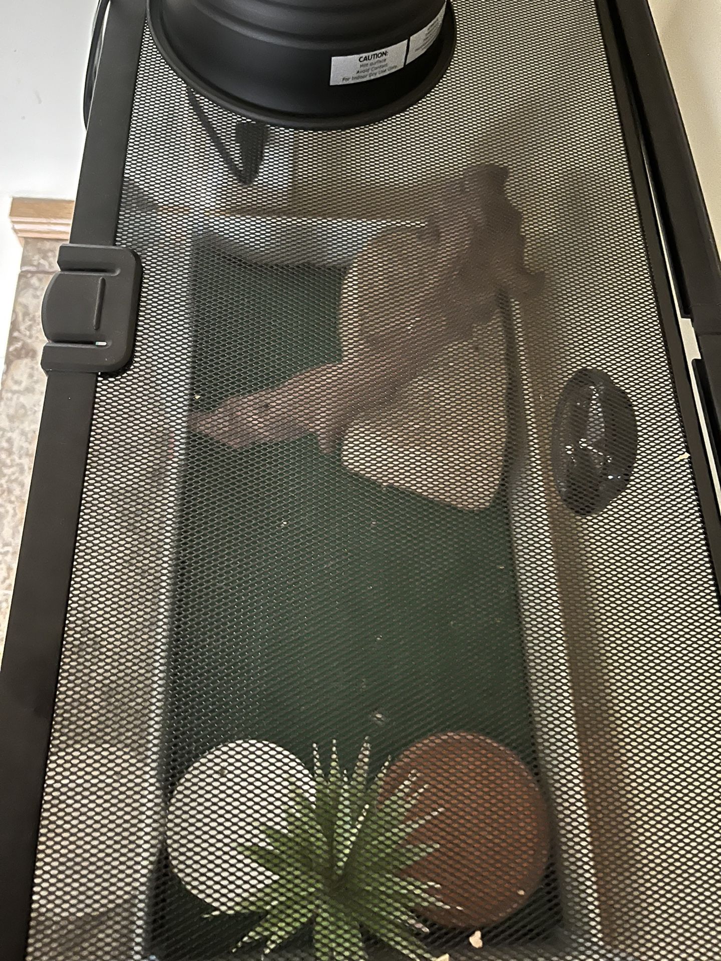 10 Gallon Setup