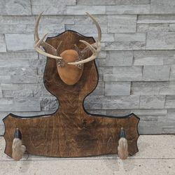 Taxidermy Decor