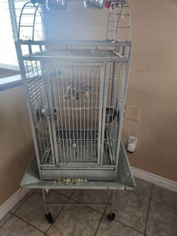 Cage African Grey