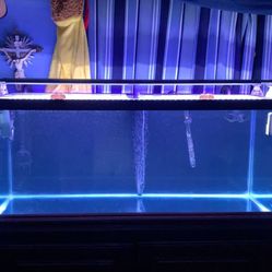 75 gallon  aquarium w/stand