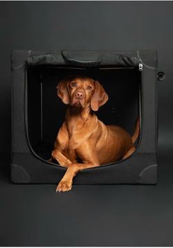 Noah & Paw Collapsible Dog Crate 42 Inch, XXL Black Dog Crate for XXL, XL,