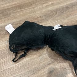 Bra