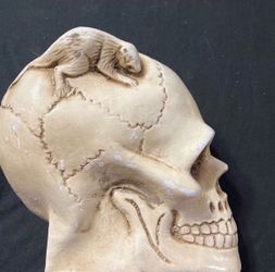 Halloween Spooky Skull ® With Creepy Crawling Rat 🐀