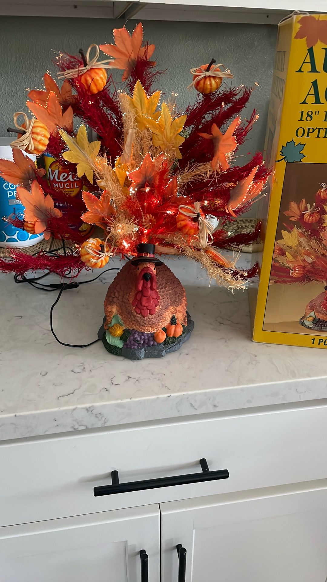 Autumn Accents Turkey