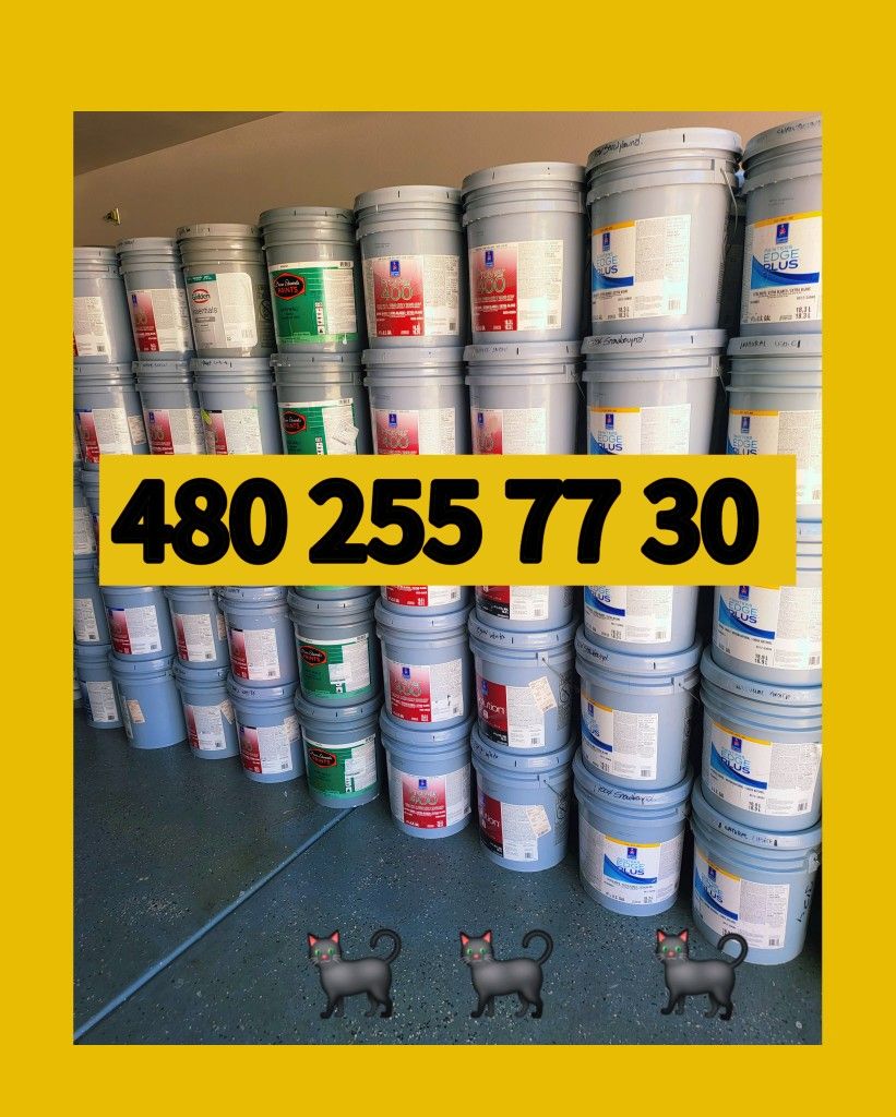 Paint For Sale