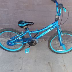Boys 20 Inch BMX Bike $40