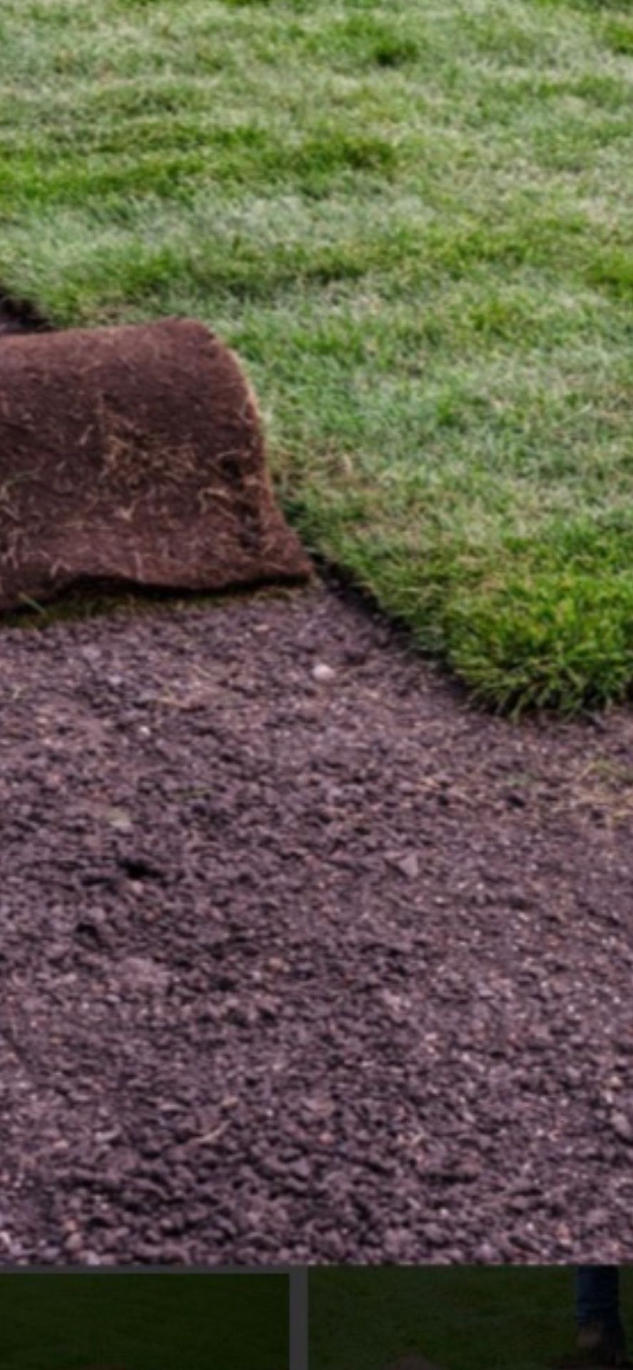 Fresh Sod