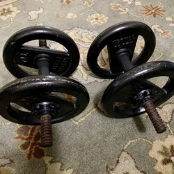 Kettle Plate Weights 
