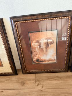 Framed Animal Art Print