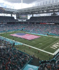 Miami Dolphins VS Carolina Panther