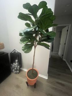 Artificial plant with stand