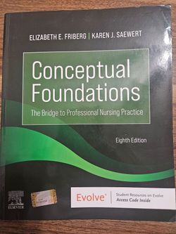 Conceptual Foundations The Bridge to Professional Nursing Practice