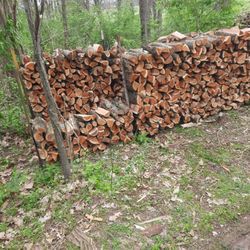 Seasoned Firewood 
