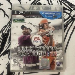 Tiger Woods PGA TOUR 13 (PS3)