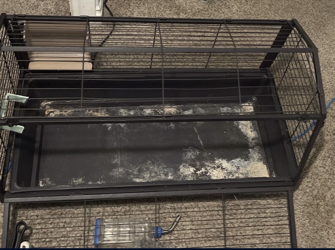 Guinea Pig Cage And Supplies