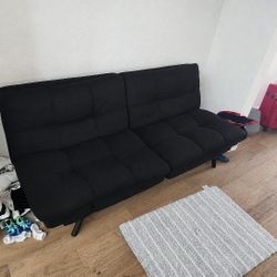 Couch which Turns Into a Day Bed