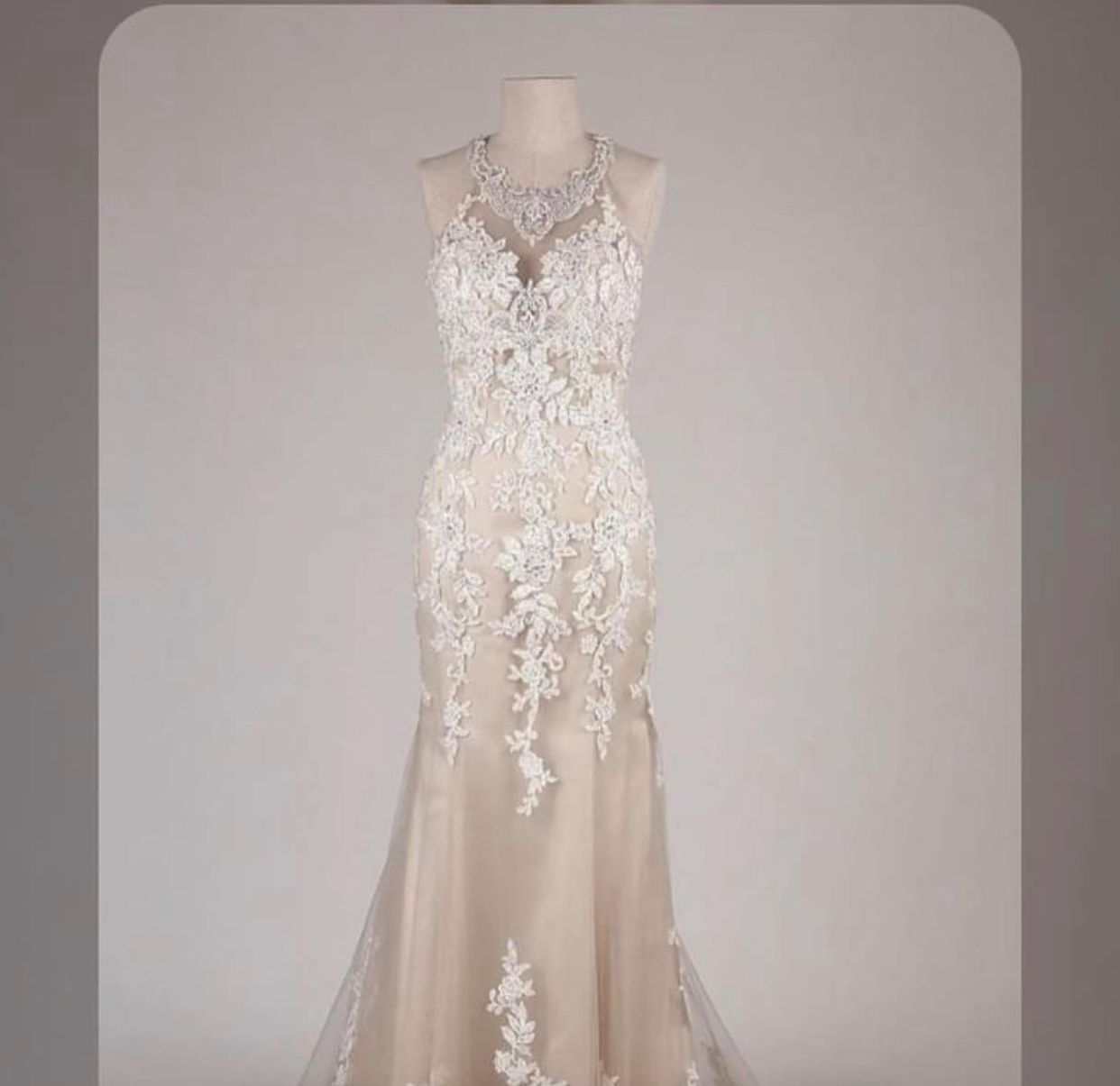 Ivory Paza Wedding Dress