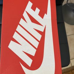 NIKE AirMax brand new shoes