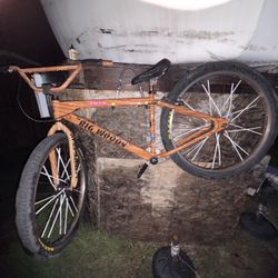 29” BIG WOODY SE BIKE