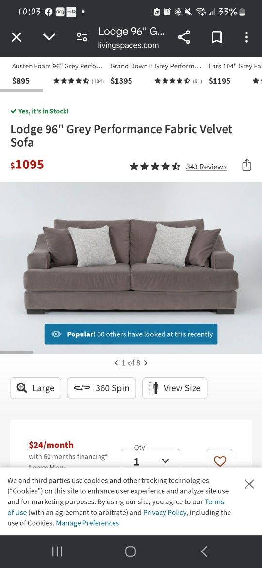 Living Spaces Sofa.