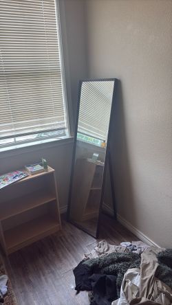 Standing Mirror