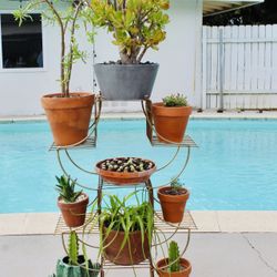 A Pagoda Metal Stand With All 9 Pots Of Plants 