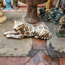 Leopard For Sale 