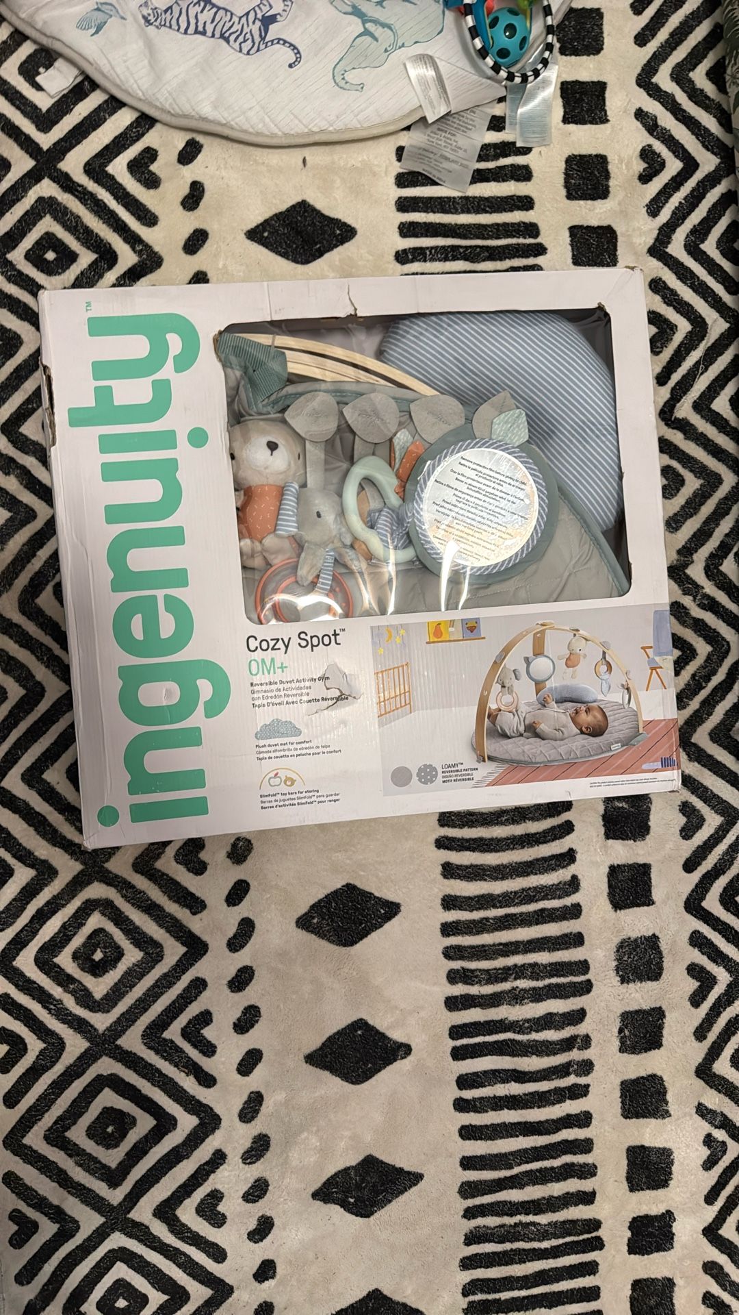 Baby play gym