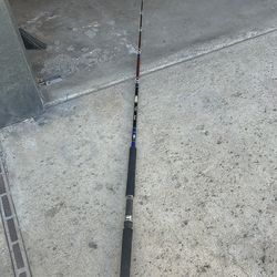 Pacifica graphite rod