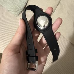 Apple Tag Dog Collar 