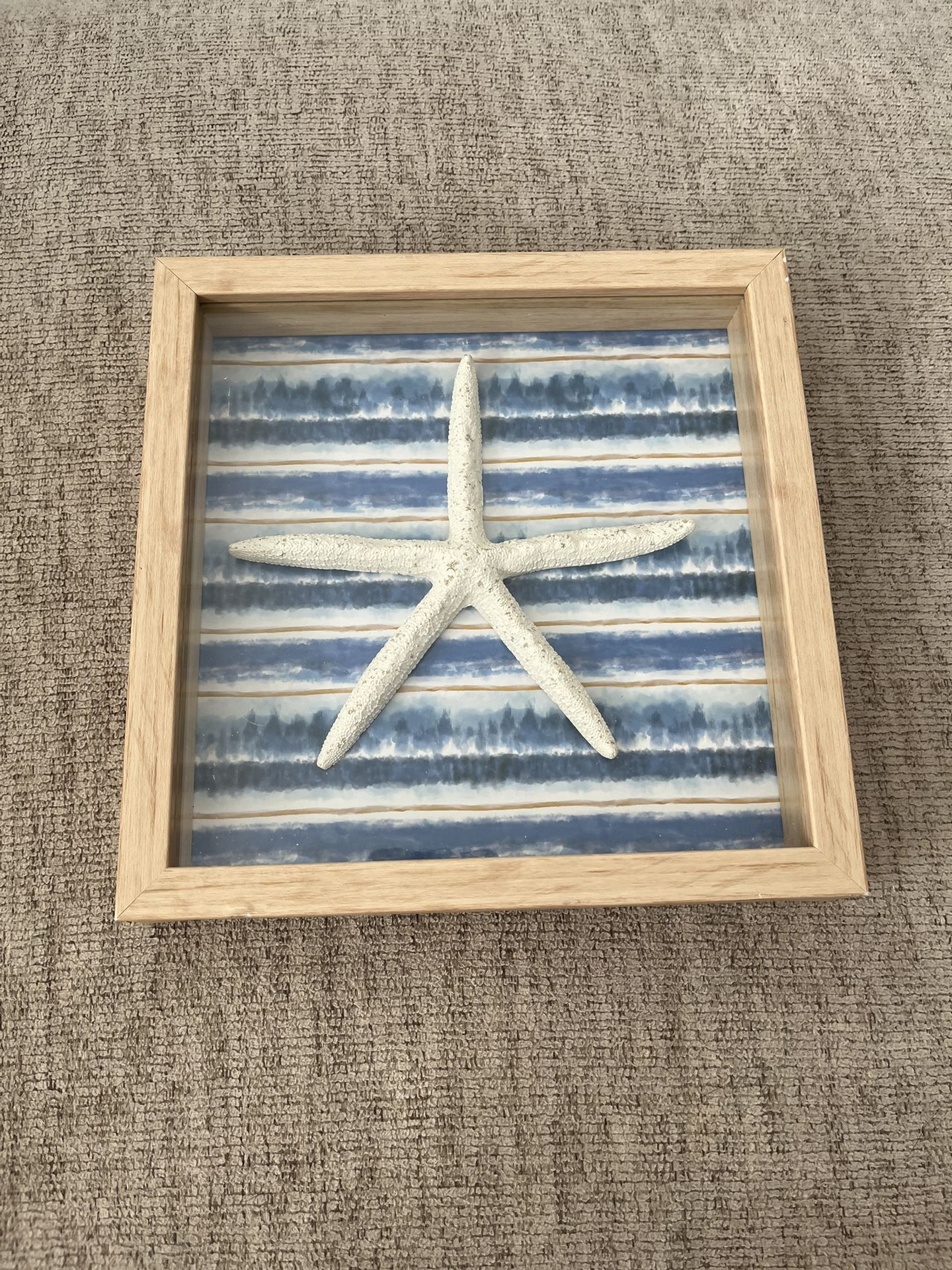 Pennington Blue Framed Star Fish