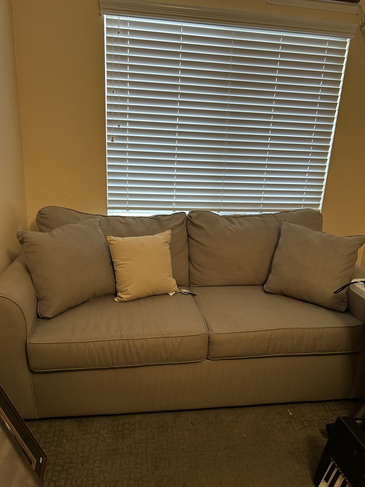 Love Seat Sleeper Sofa 