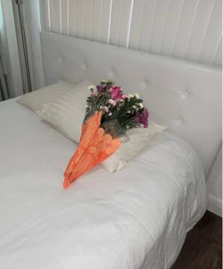 Free queen bed
