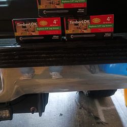 Fast And Master 4-in Lag Screws