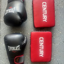 Everlast 16oz gloves W/ Hand Target Pads