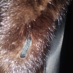 Mink Coat