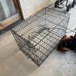 Kennel