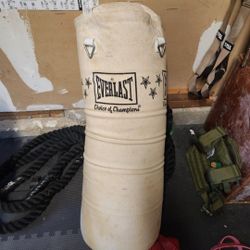 Everlast PUNCHING Bag (100lb)