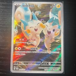 Pachirisu 094