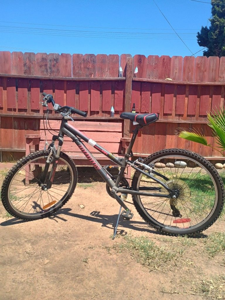 INFINITY CRAZY HORSE HT24 YOUTH BIKE 