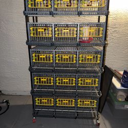 Cimuka Quail Breeding Cage