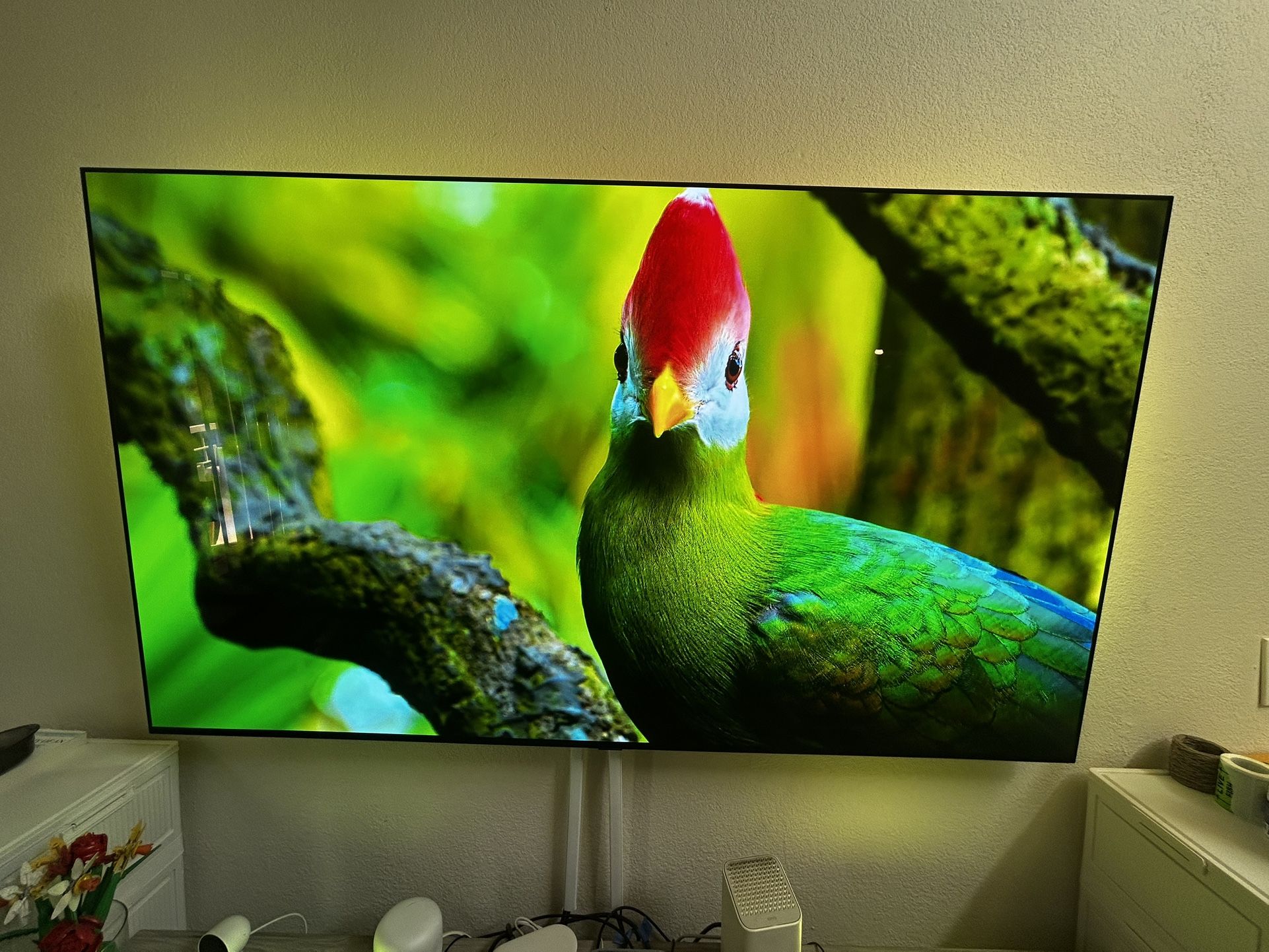 77” OLED LG C4 Television AND Premium Wall Mount-Like New!