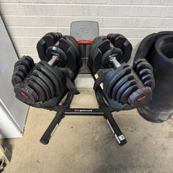 Bowflex 1090 Dumbbells