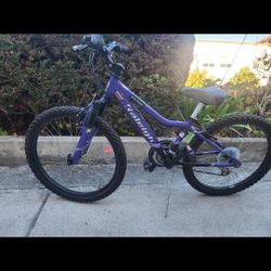 RALEIGH KIDS MOUNTAIN BIKE. 