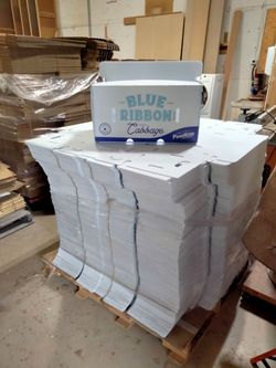 Flat-packed shipping boxes for Blue Ribbon brand