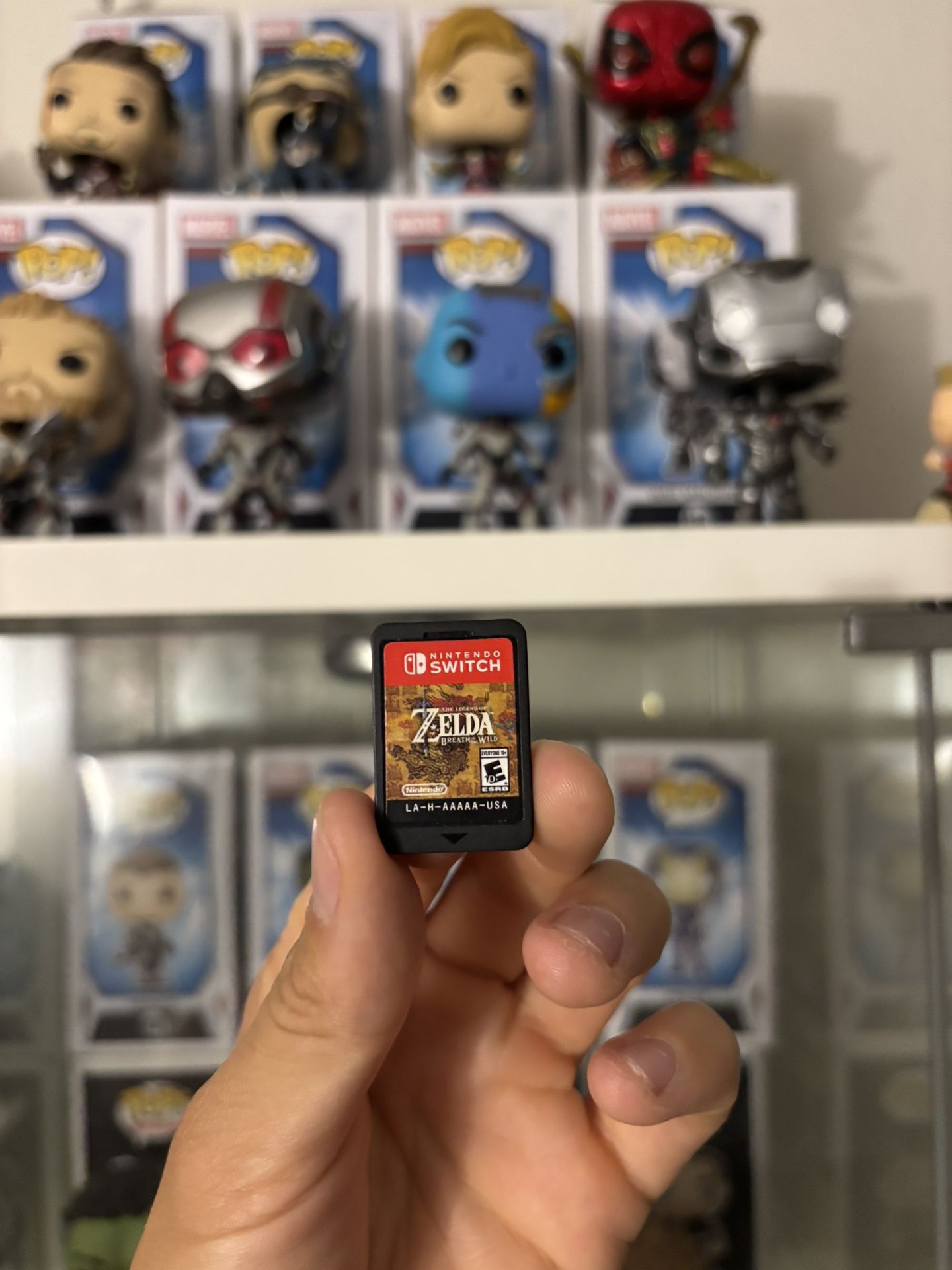 Zelda Nintendo Switch