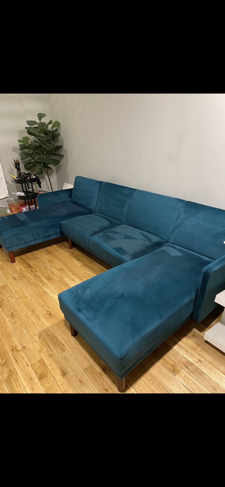 U Shaped Sectional Couch/Futon