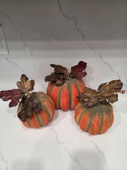 Fall Decor Pumpkins 🎃